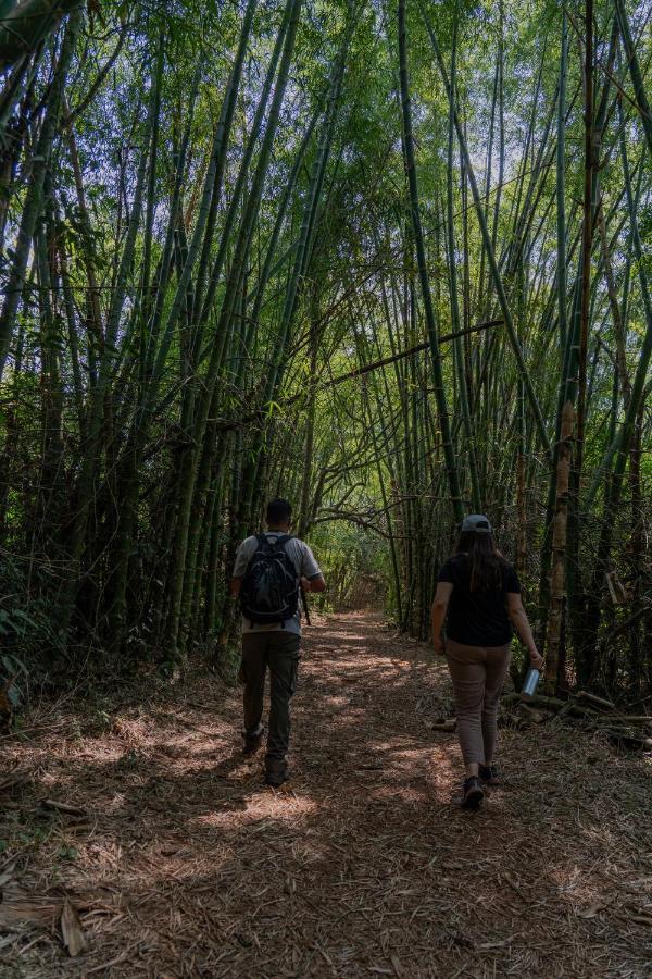 Puerto Libertad Reserva Natural Iguazu - Pristine Luxury Camp מראה חיצוני תמונה